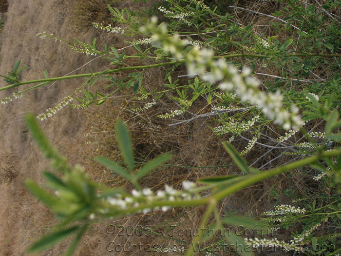 P7070010