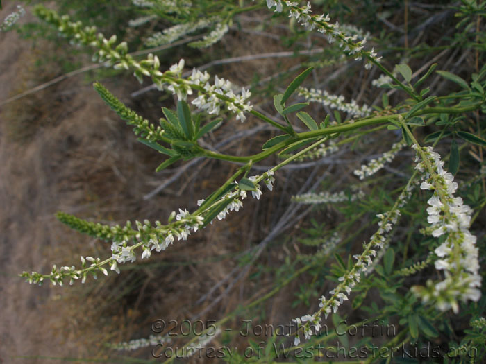 P7070012