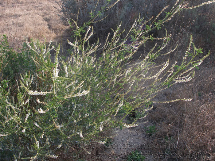 P7070013