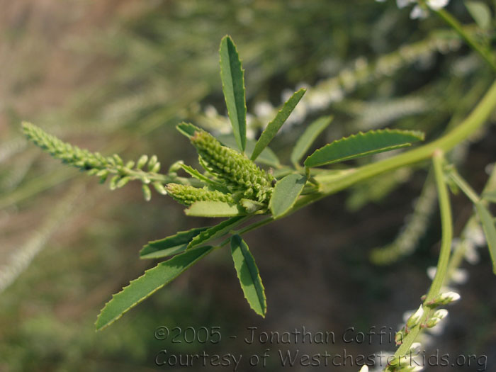 P7070014