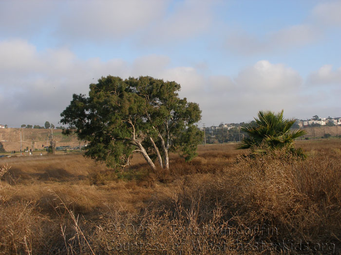 P7100032