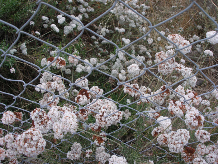 P7120048