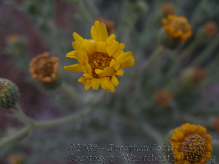 P7120058