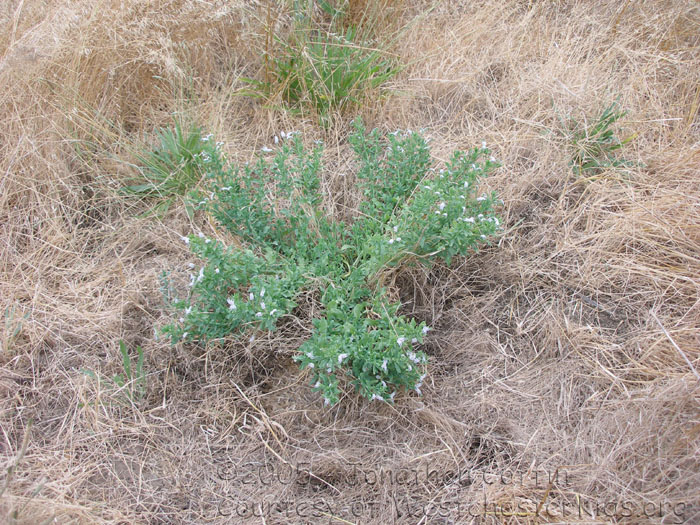 P7160061