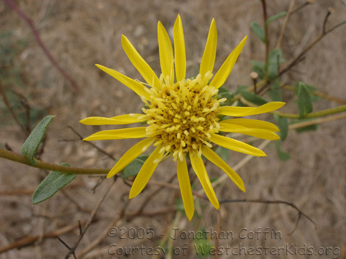 P7170084