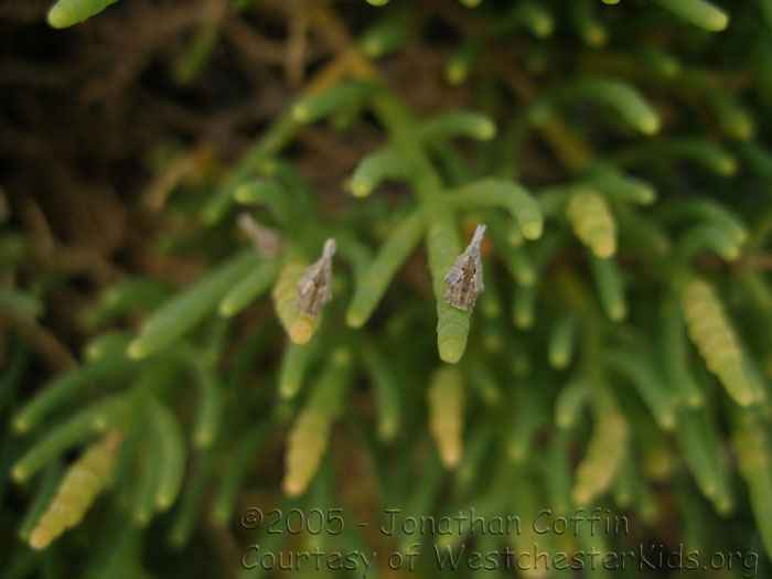P7170091