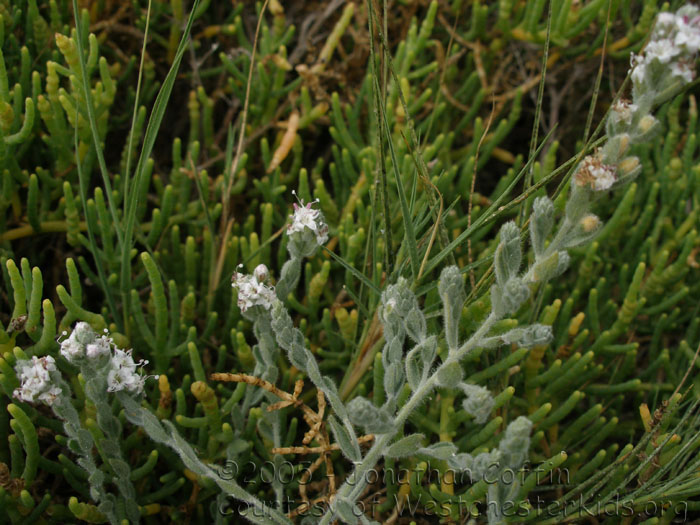 P7170095