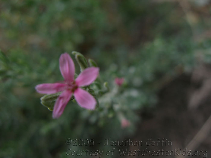 P7170098