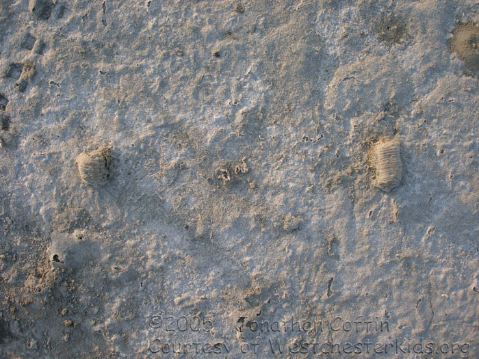 P7190122