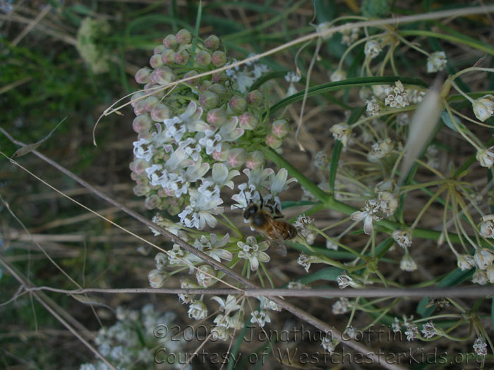 P7240156