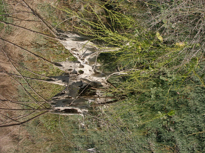 P7310198