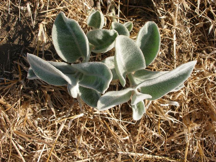 P7310199