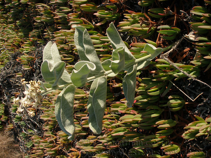 P7310214