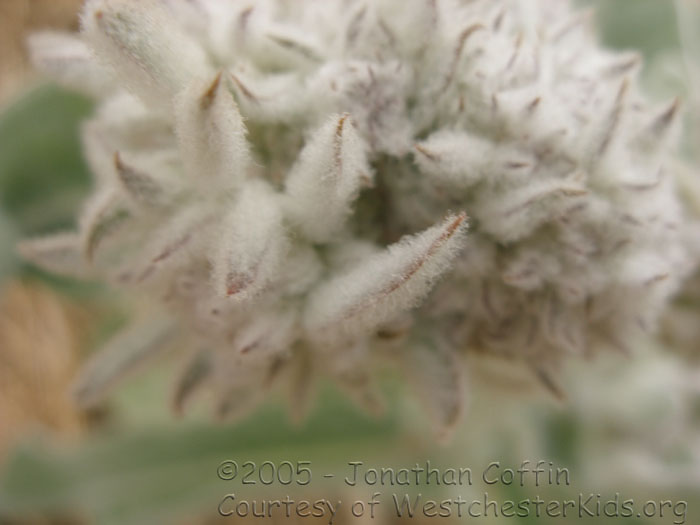 P8020230