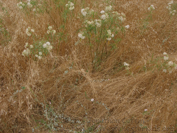 P8040266