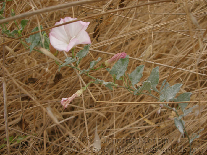 P8040267