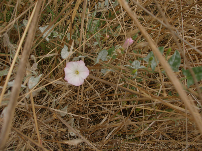 P8040270