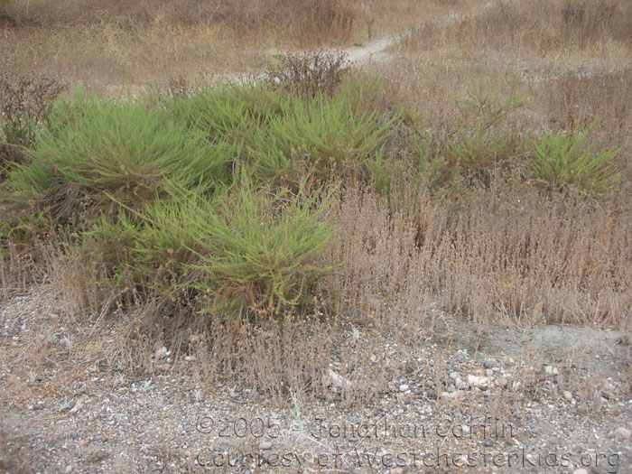 P8040277