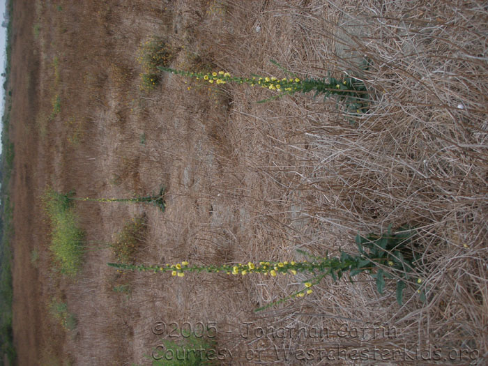 P8040280