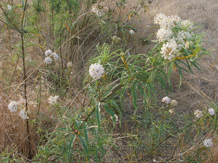 P8050312