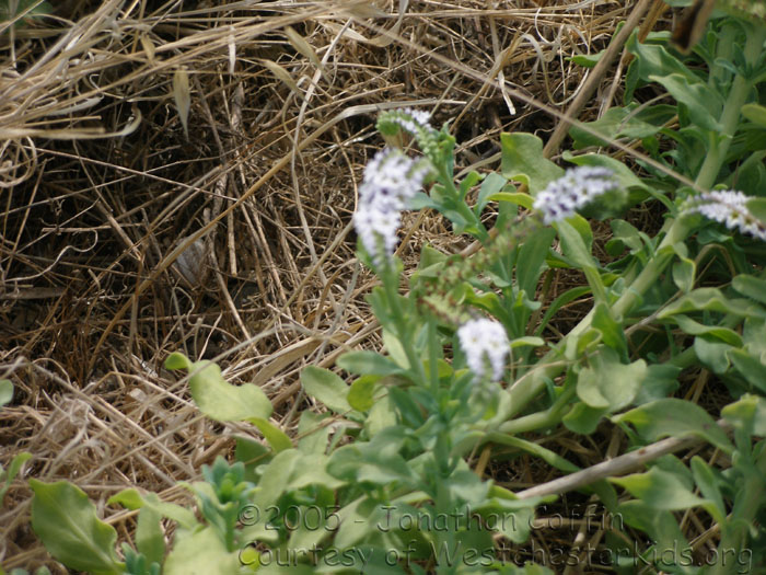 P8060322