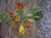 P7120057