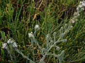 P7170095
