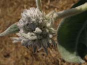 P7310201