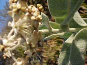P7310210
