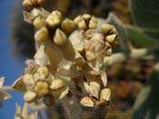 P7310211