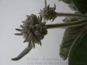 P8020231