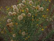 P8040275