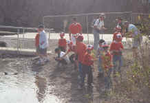 4a.jpg (56061 bytes)